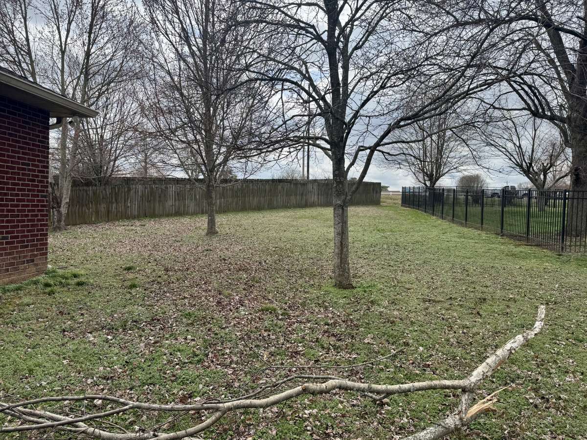 Reverse Angle of Back Yard