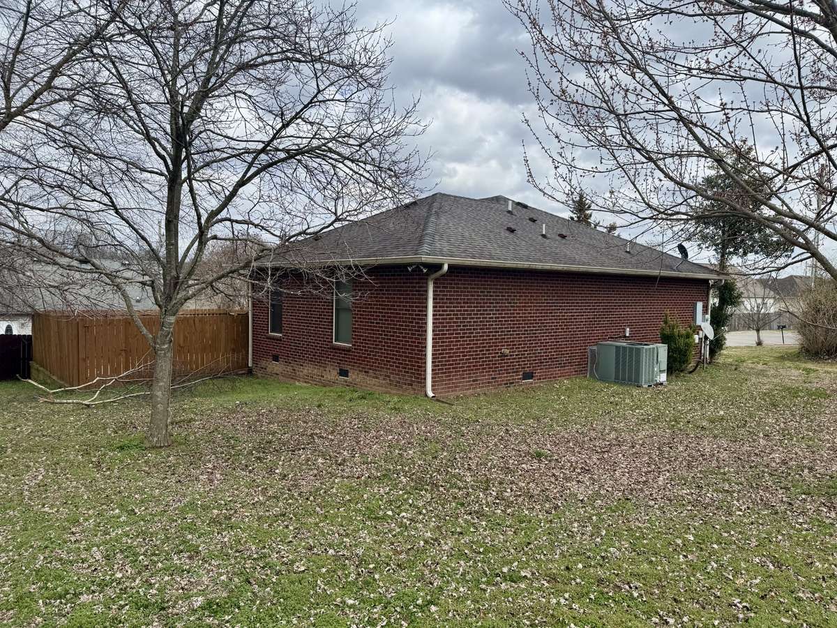 Side & Rear Yard