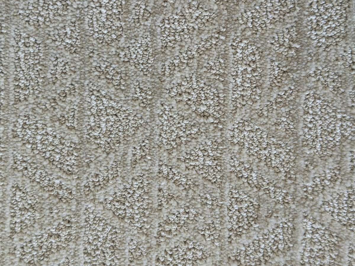 New carpet in both bedrooms.