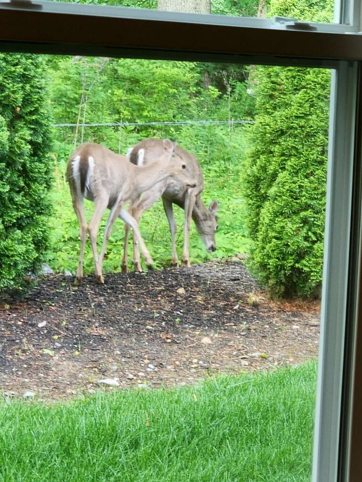 View from living room