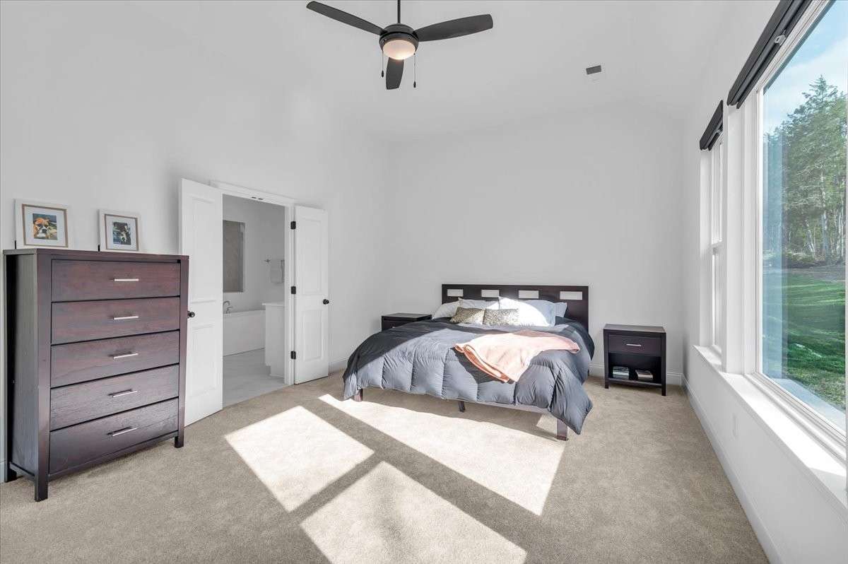 Primary Bedroom (Main Floor)