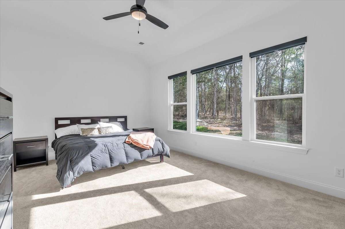 Primary Bedroom (Main Floor)