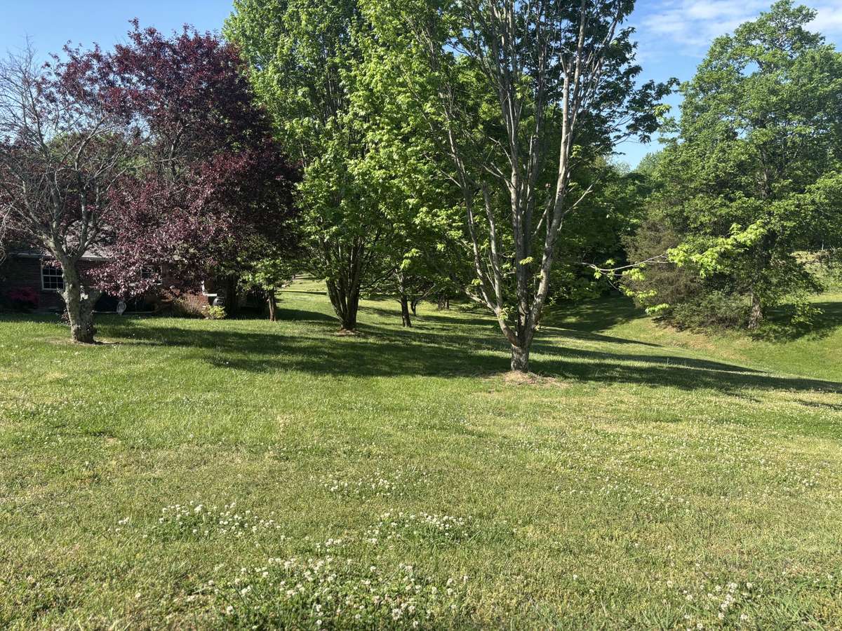 Back yard feels like a park
