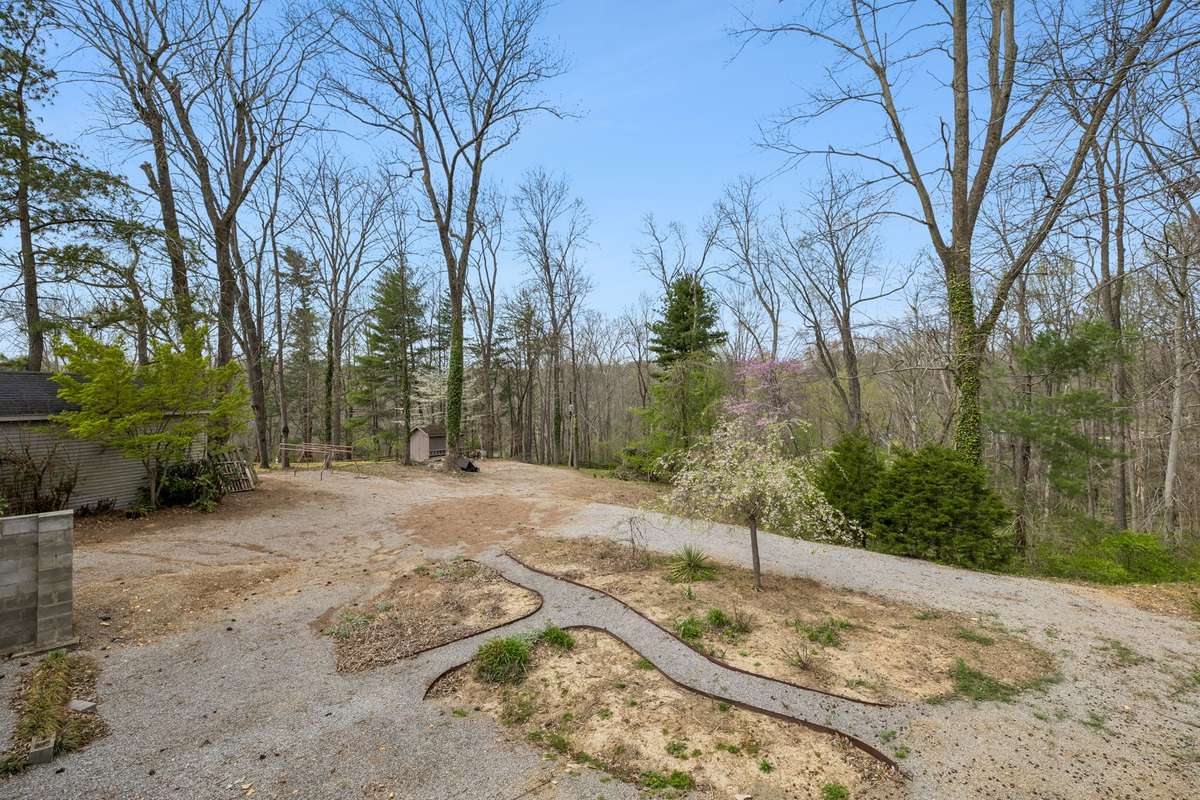 Huge backyard. Almost an acre. A large portion is graveled