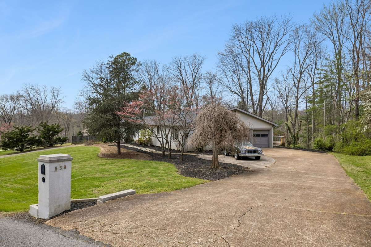 Large established lot.  Mature trees