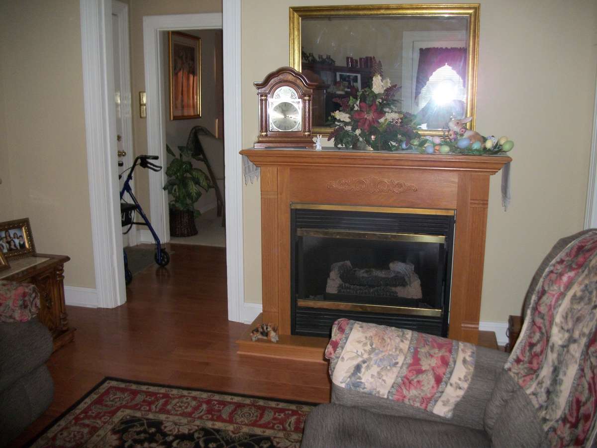 Fireplace with gas logs
