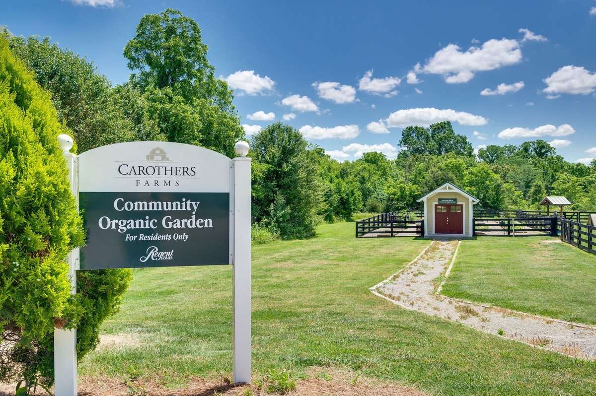 Where else can you find a community garden in your own neighborhood?! take what you need, its open to all homeowners.