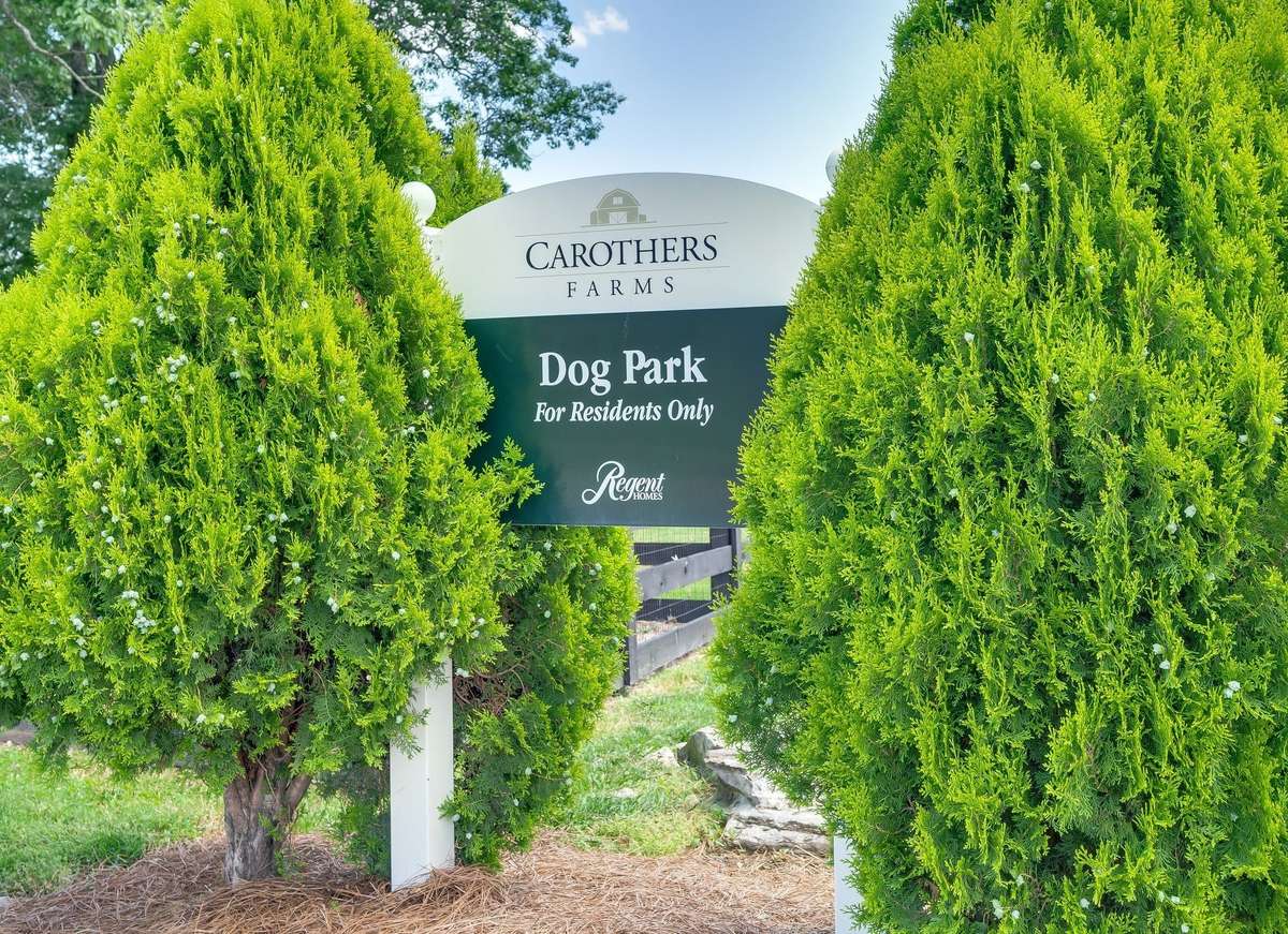 Walk to the dog park