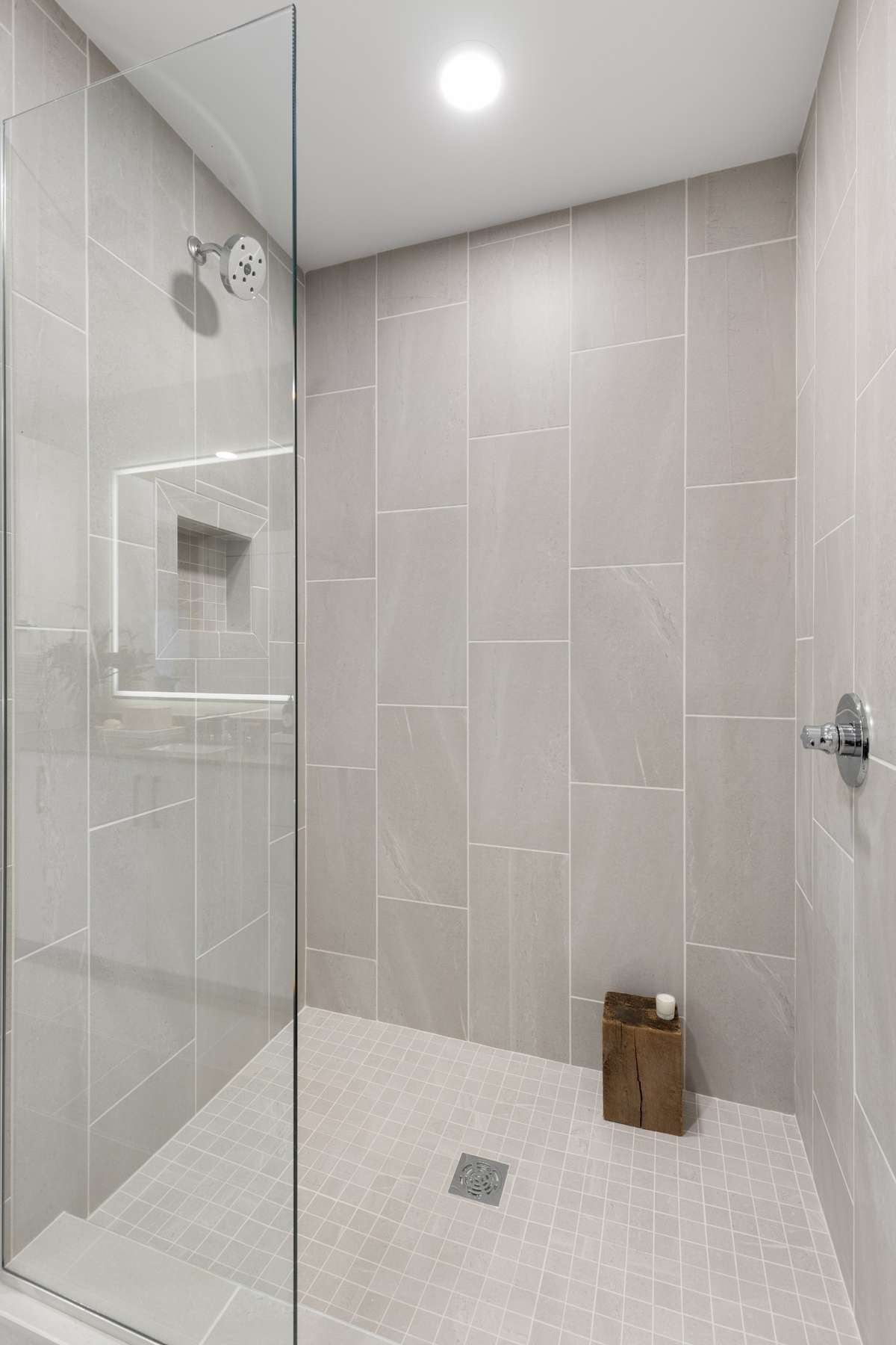 A11 Shower | Furnished Model | Cool Finish Palette