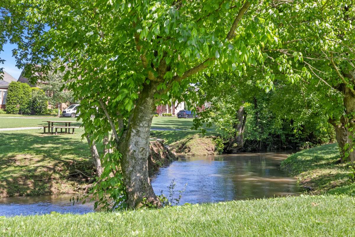 As you meander down to the Amenity Center on the walking path you pass this beautiful creek that runs along the borders of Tollgate...