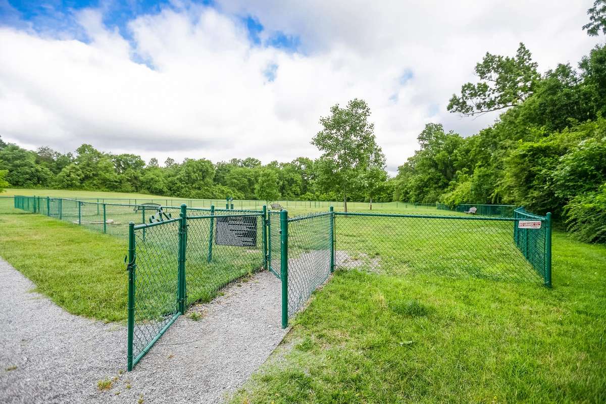 The dog park is a great place to let your furry friends roam, but also a great place to meet your neighbors!