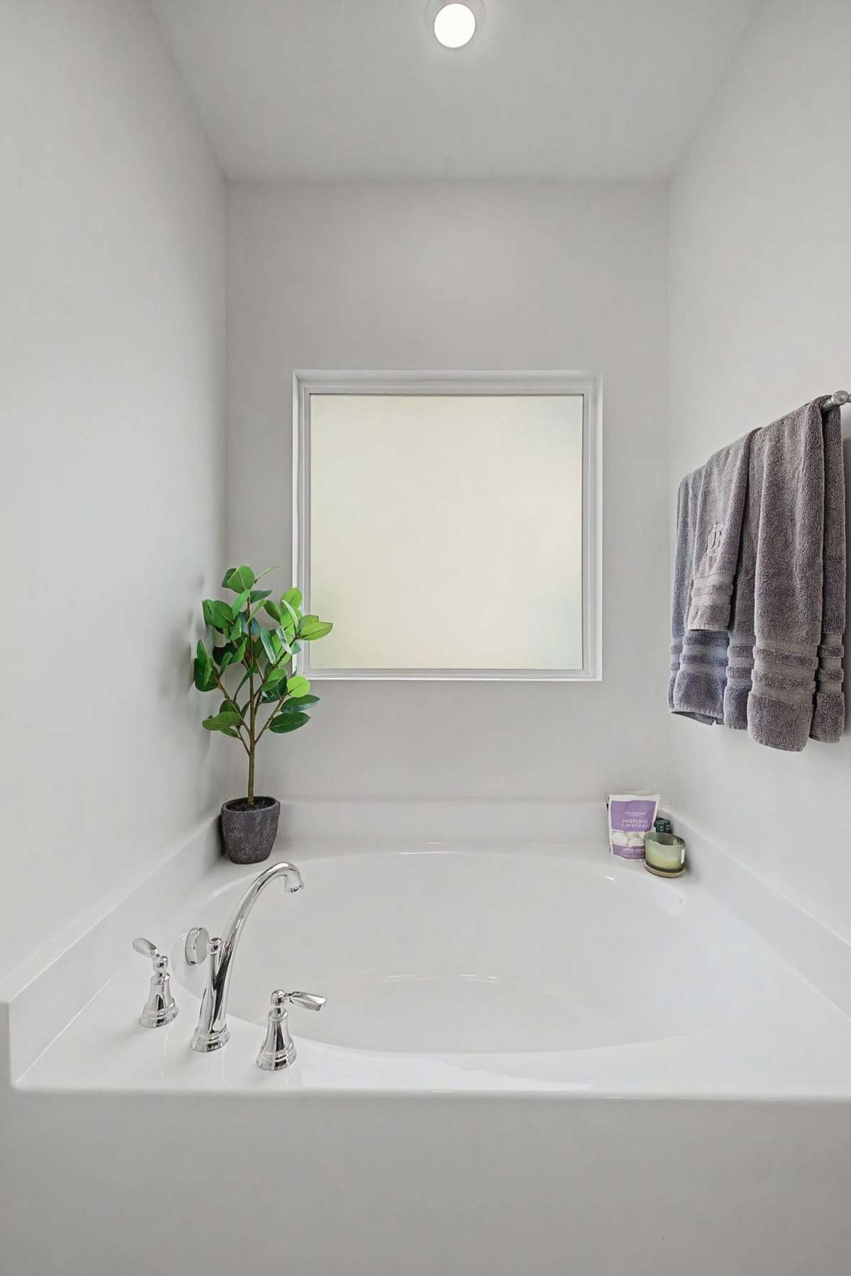 Separate Garden Tub and Shower in Primary Suite Bath