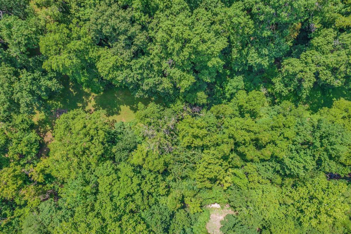 Overhead view of the clearing by the creek.