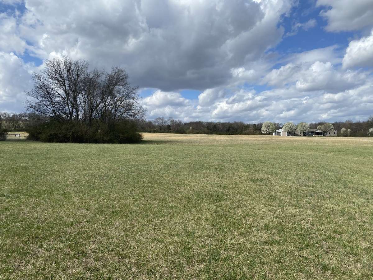 Backyard goes back to tree line.