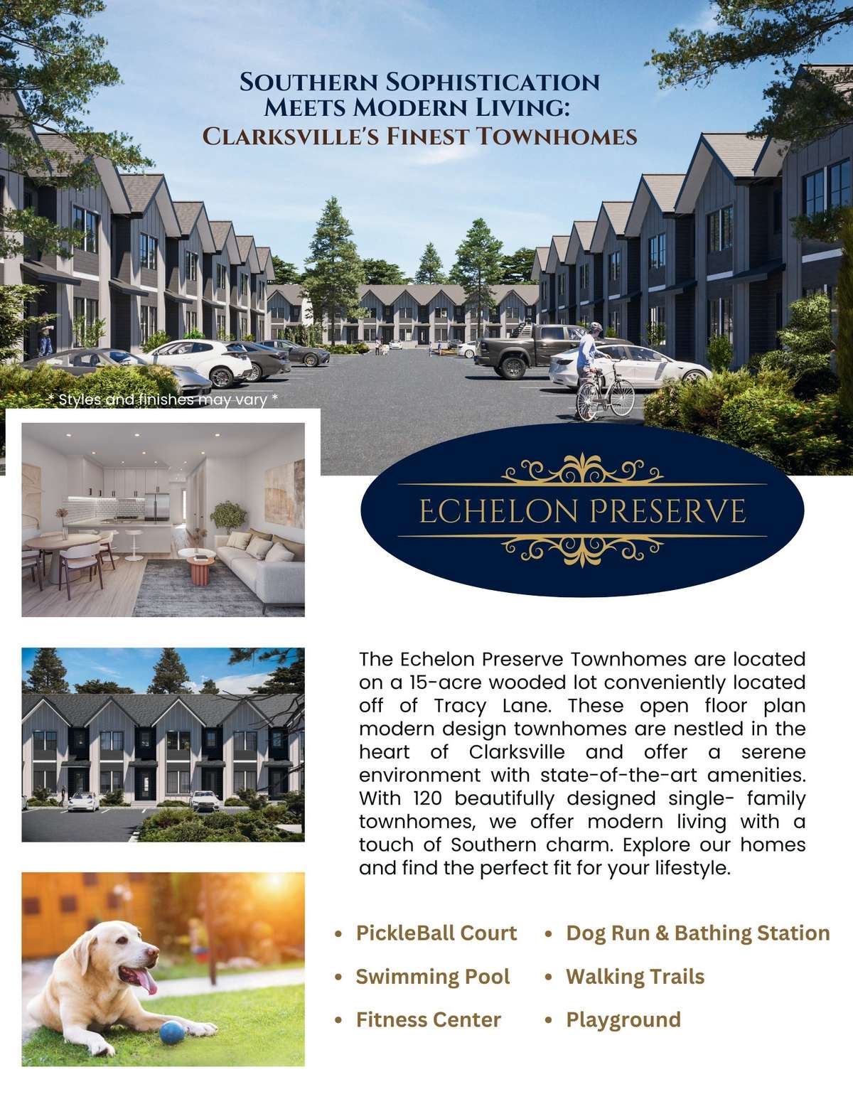 Echelon Preserve Neighborhood Overview