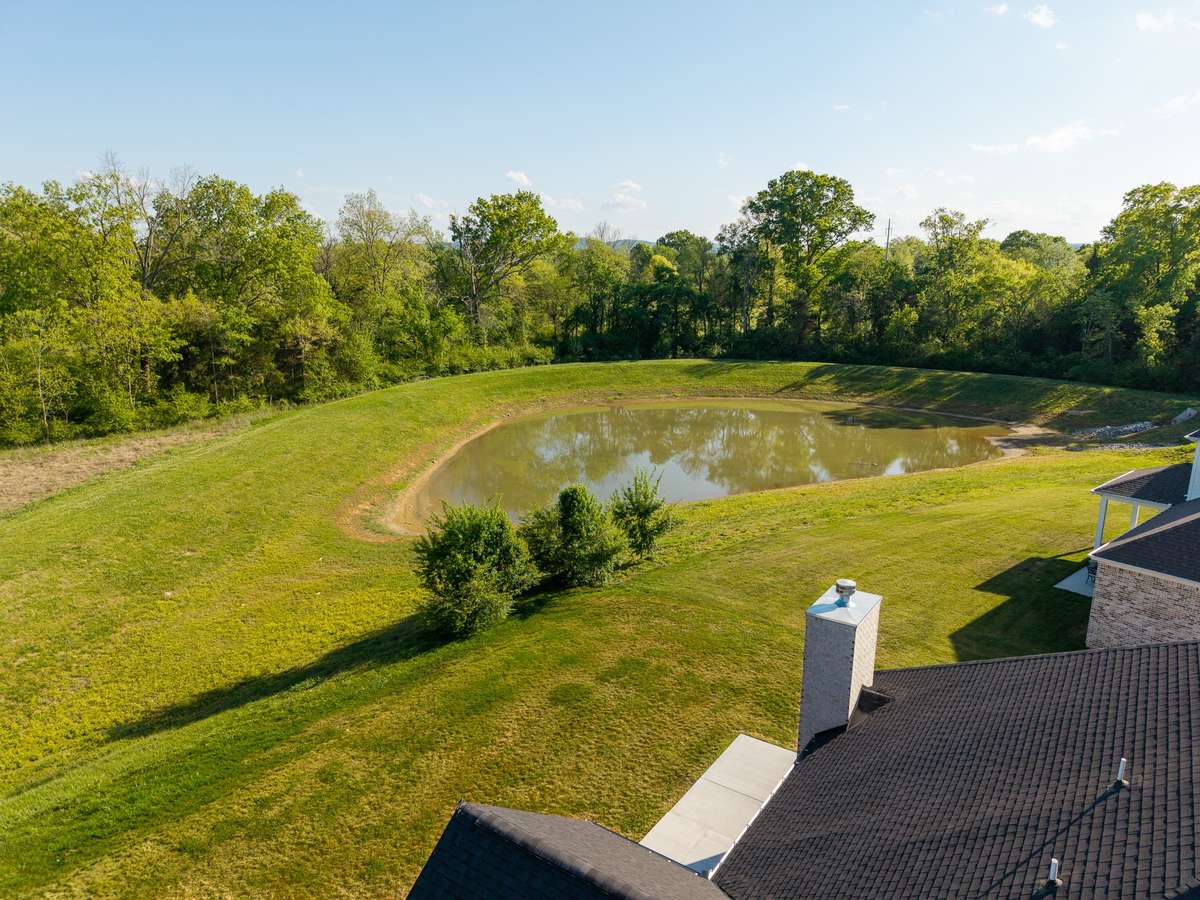 Photo of the Pond in the back yard.