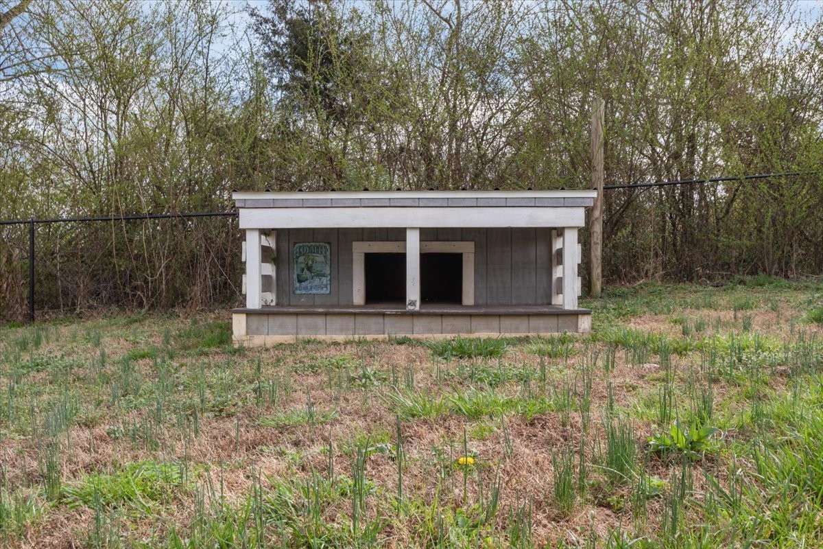 Outdoor Dog House