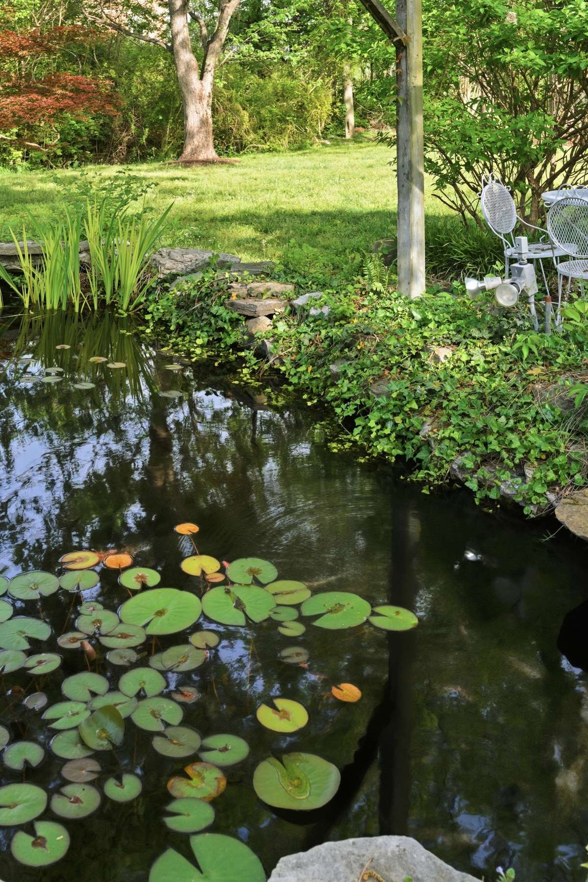 Sit back and enjoy the serenity of your own backyard with a live Koi pond and a sitting area.