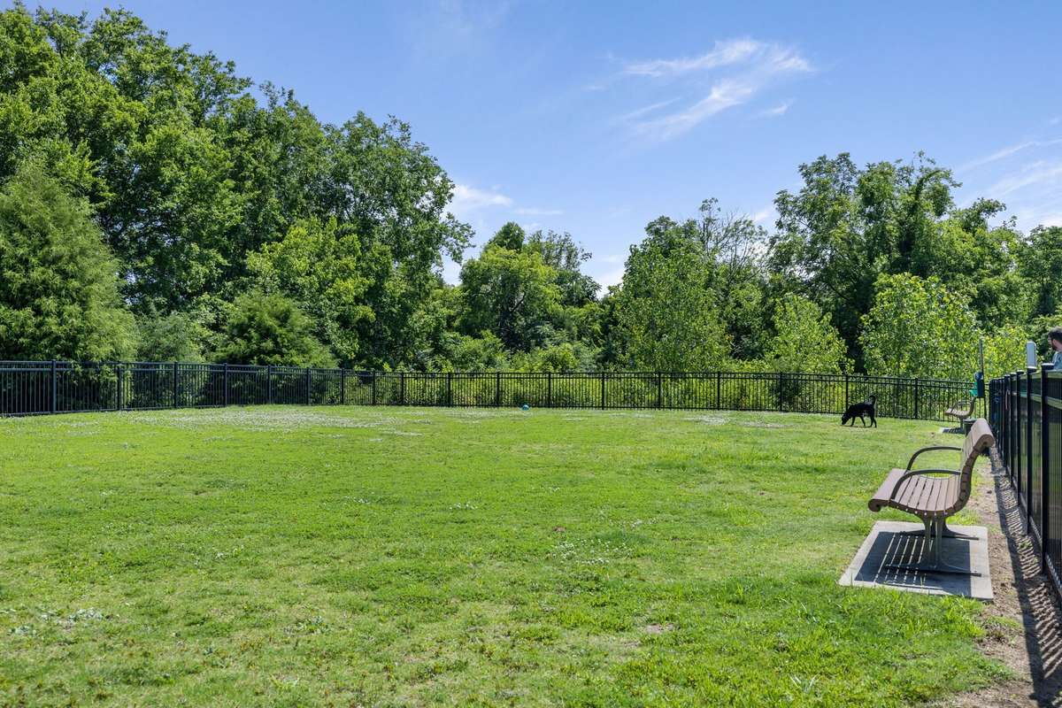 Inside the dog park.  Do you see Fido chilling out?
