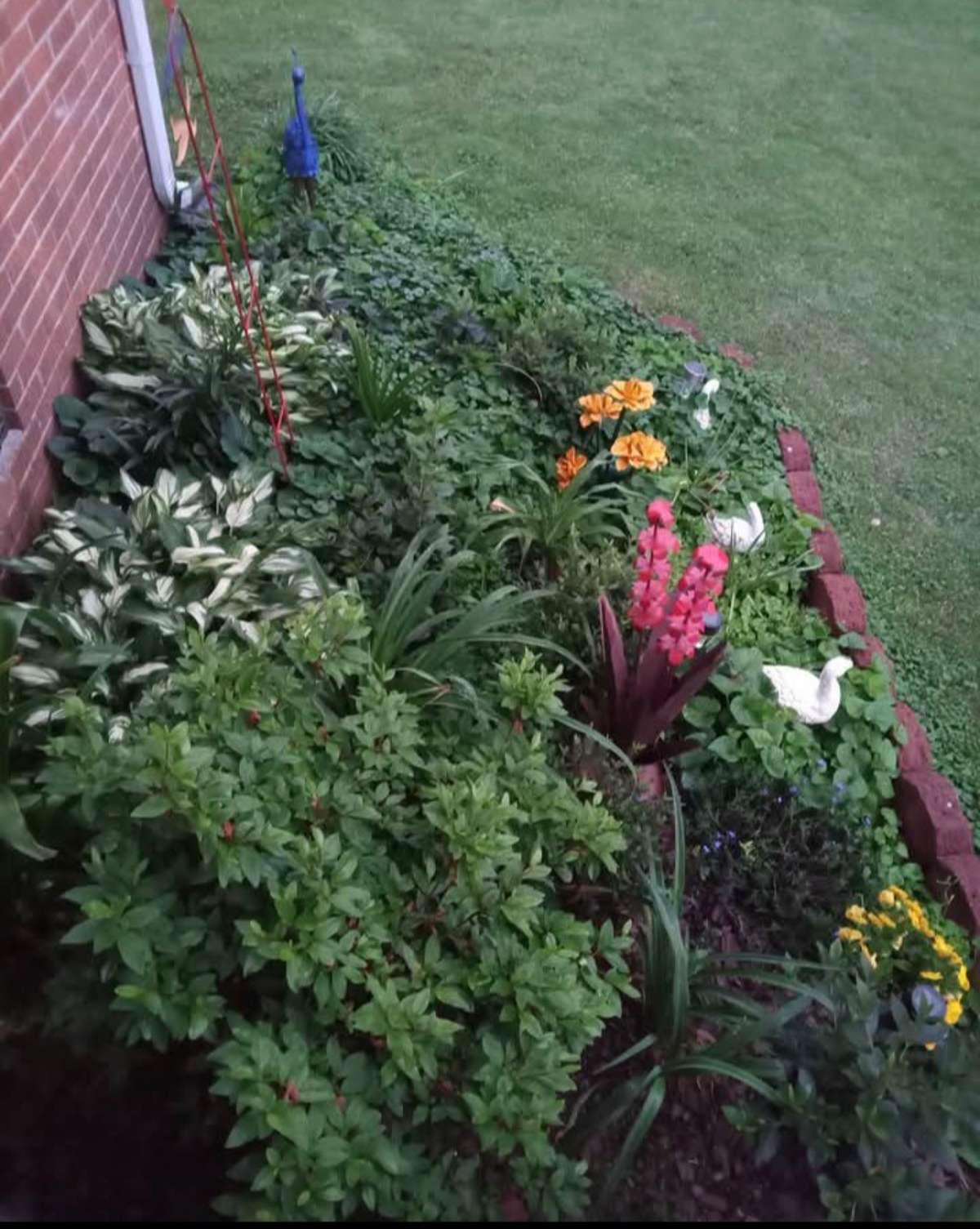 Owner supplied seasonal picture