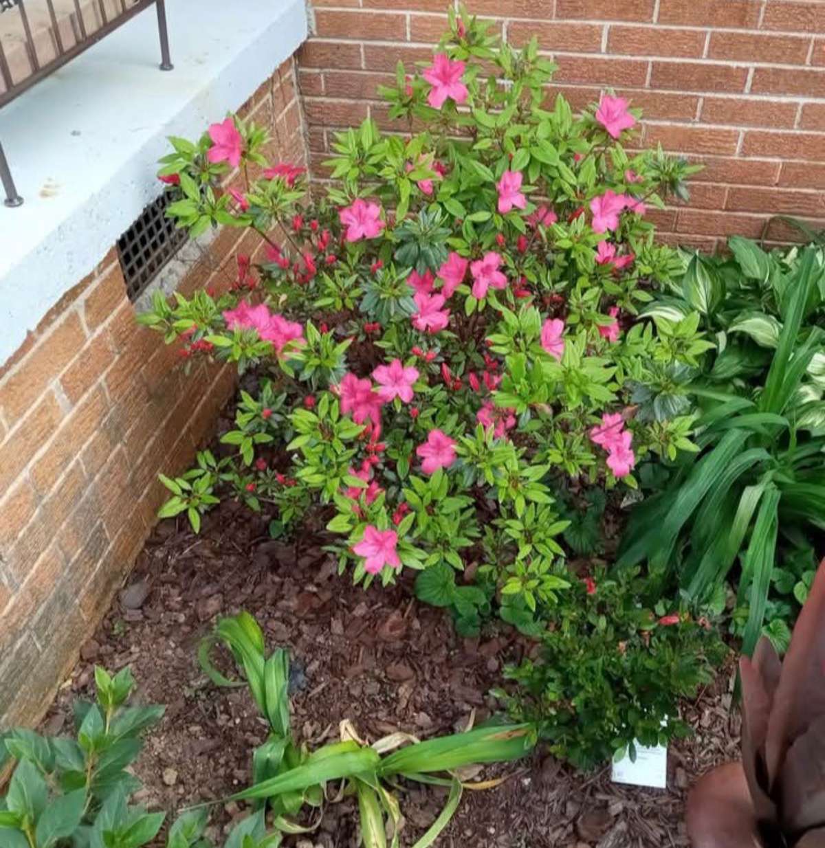 Owner supplied seasonal picture