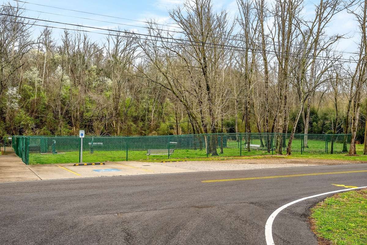 Right across the road is the community dog park.