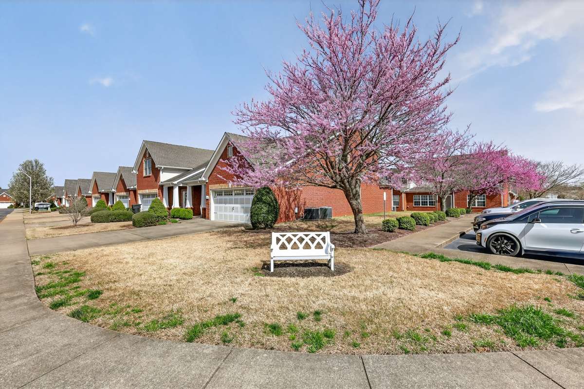 Look at the beautiful mature landscaping in this neighborhood.  HOA manages all of the landscaping and outside maintenance.