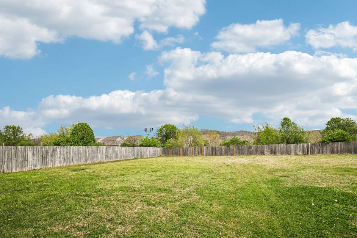 Backyard with plenty of open green space, ideal for outdoor activities, entertaining, or simply enjoying the outdoors.