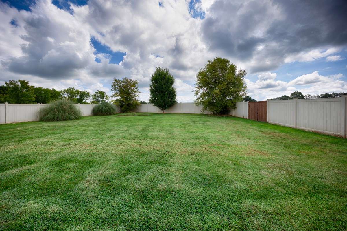 Yard- Privacy fenced, mostly open with some landscaping touches