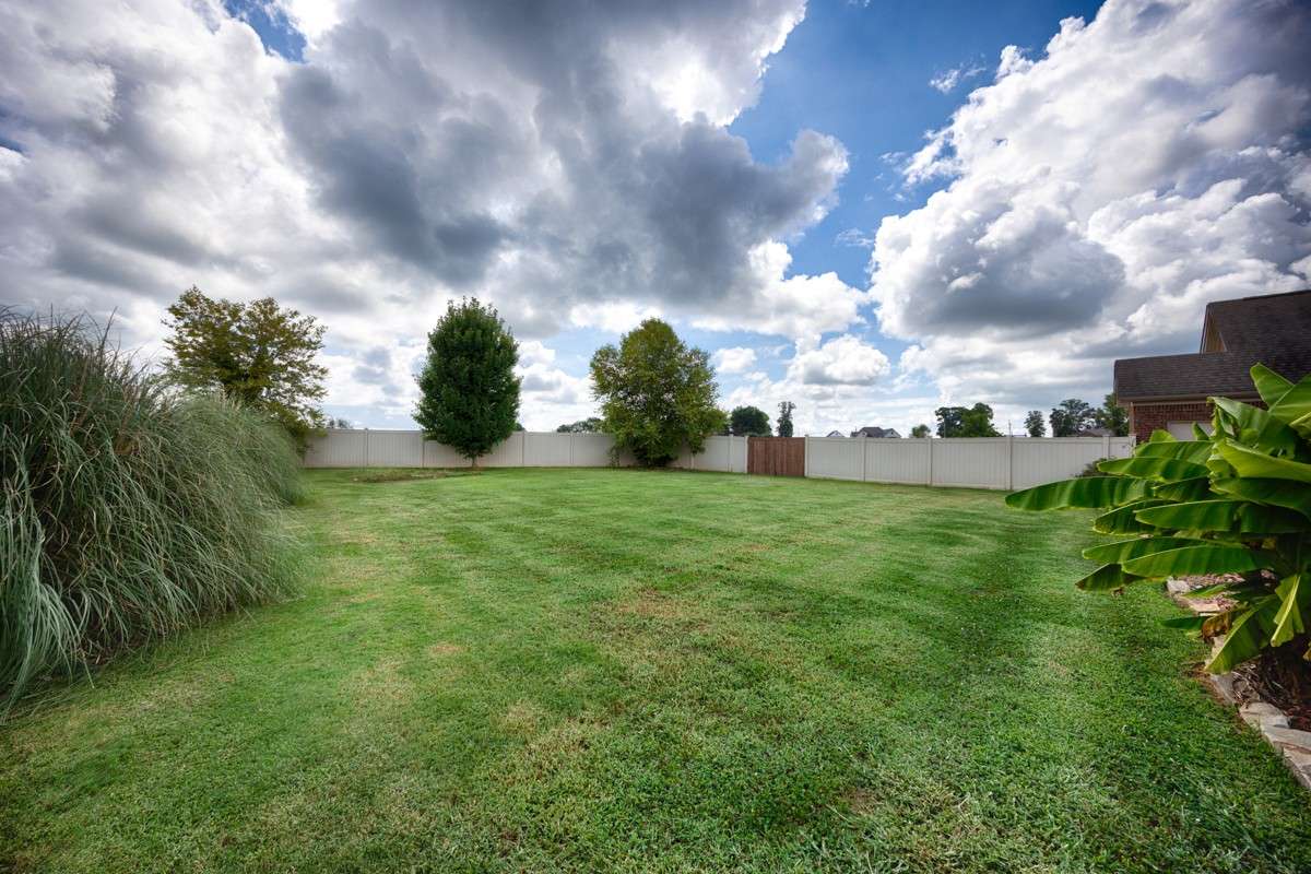 Privacy fenced, mostly open with some landscaping touches