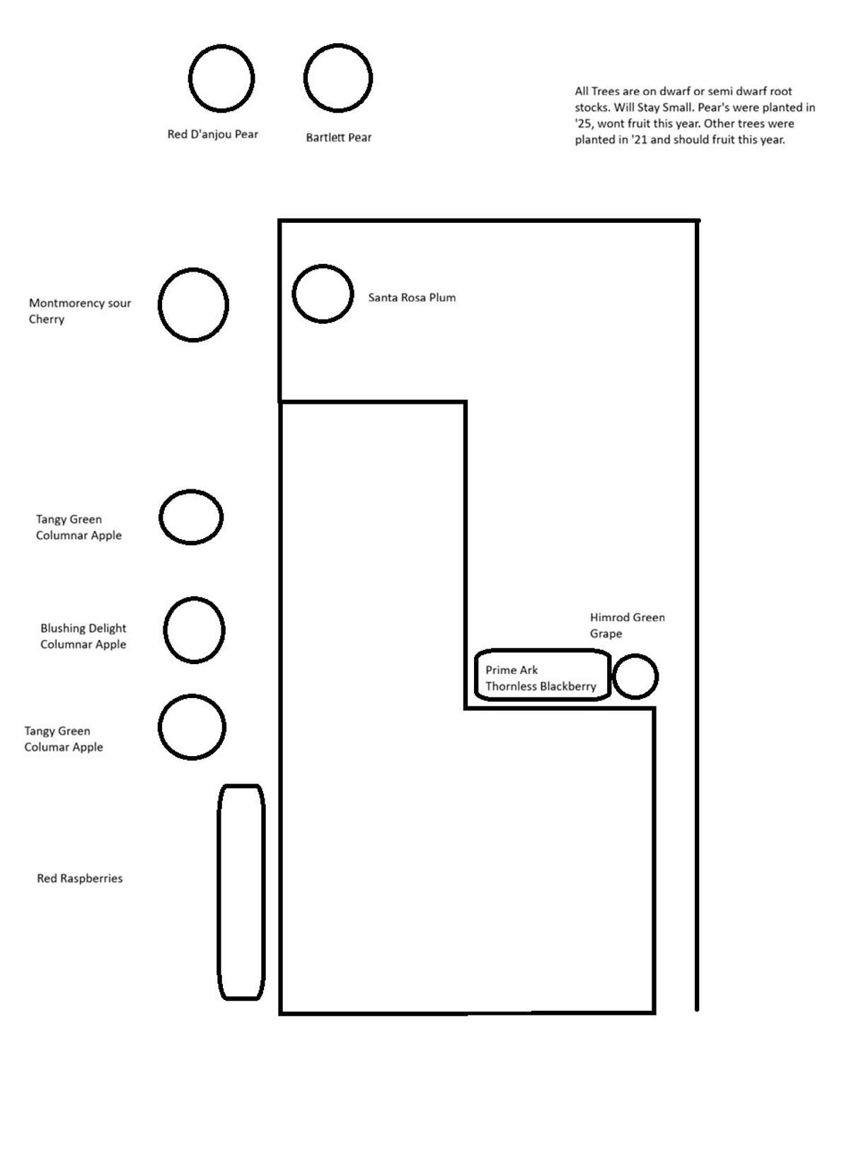 This is the set up of plants and fruit trees.