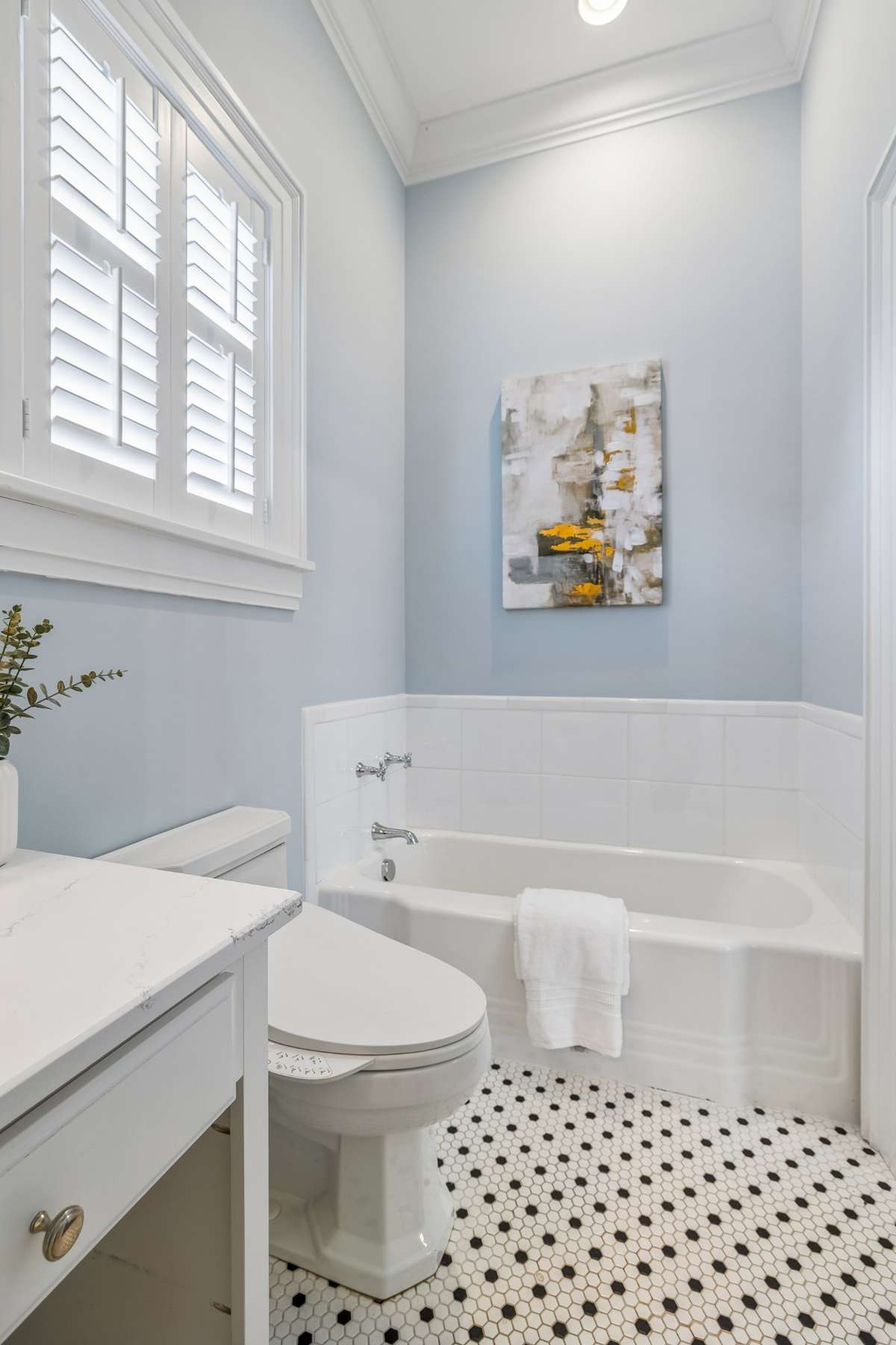 Primary Tub