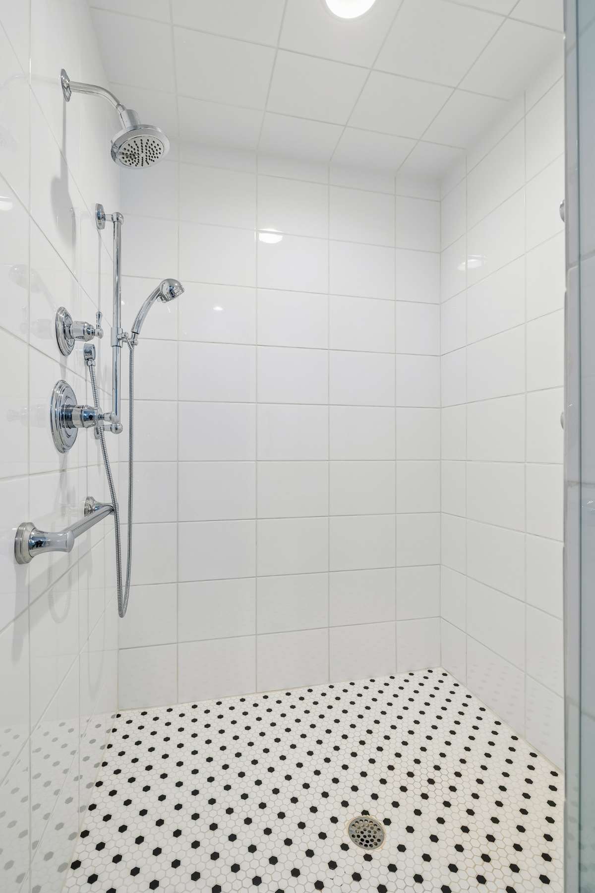 Primary Shower