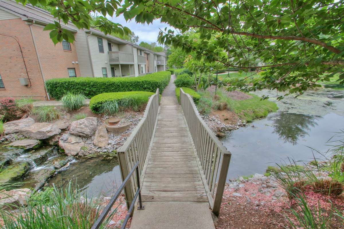 Beautiful scenery to enjoy on your evening walk/