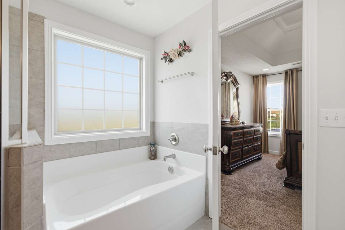 Master bathtub