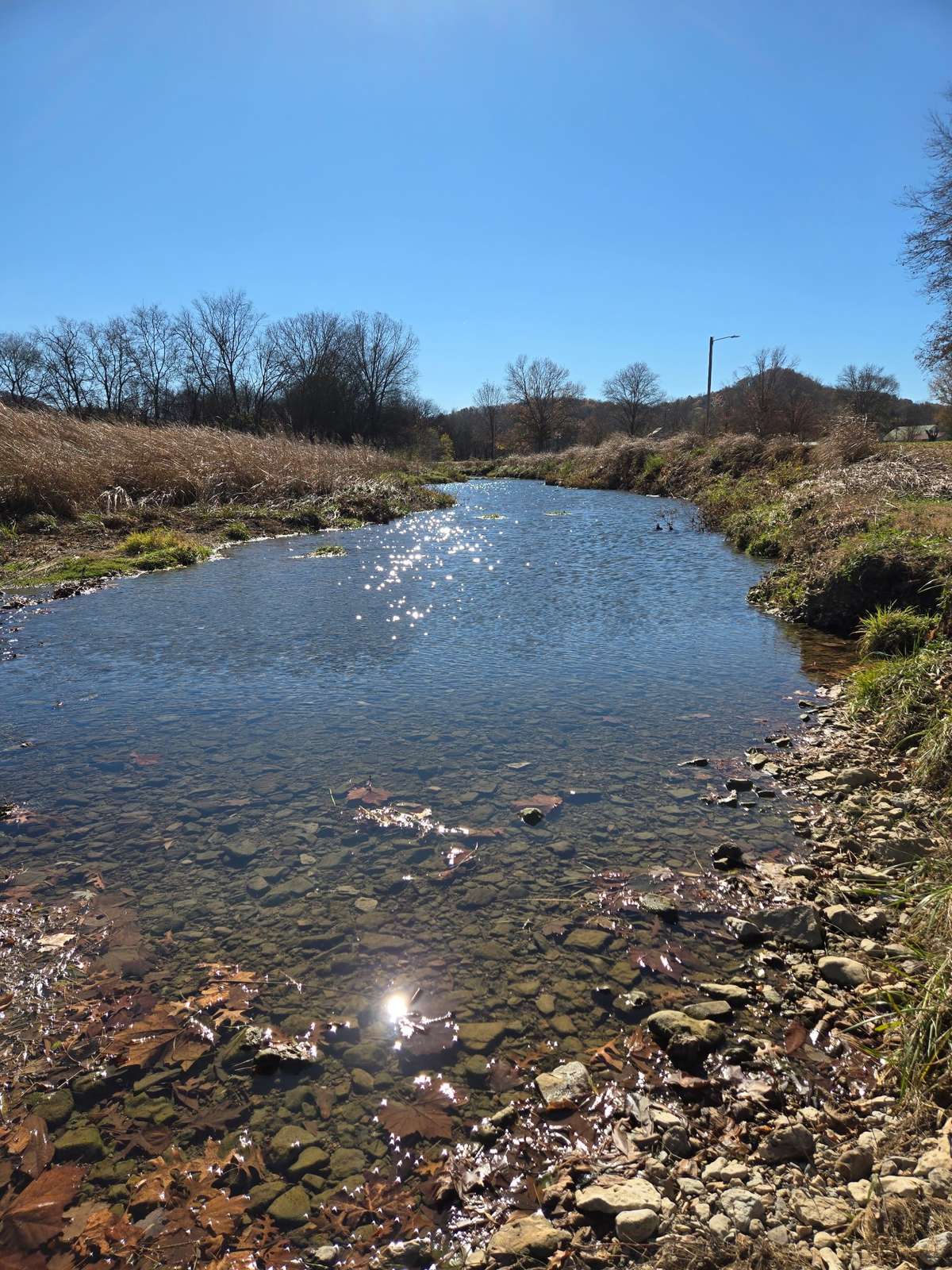 Creek in the middle of Auburntown