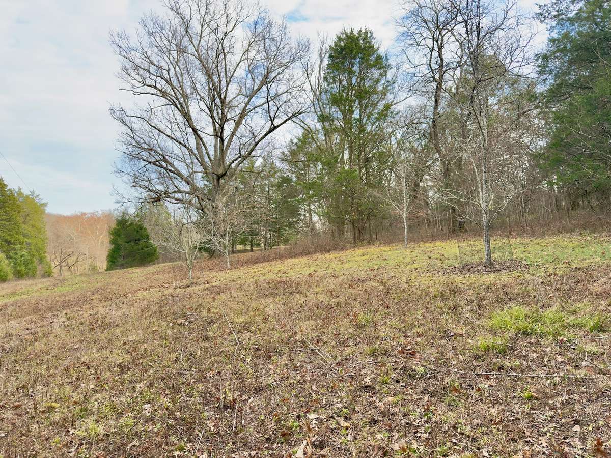 The land is gently rolling/sloped with open pasture areas, woods and pond.