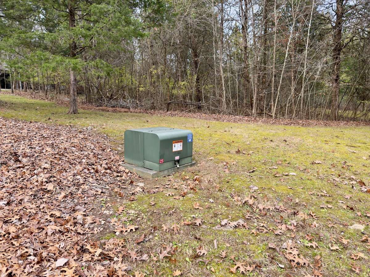 Underground electric!  No worries about tree limbs falling on power lines!