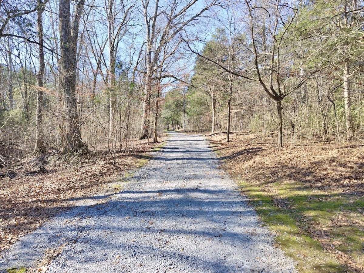 Driveway leading into property.