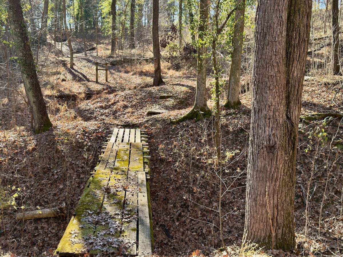 Target shooting lane.