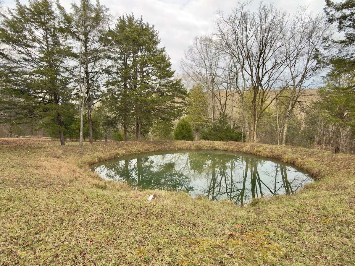 Year round pond on property.