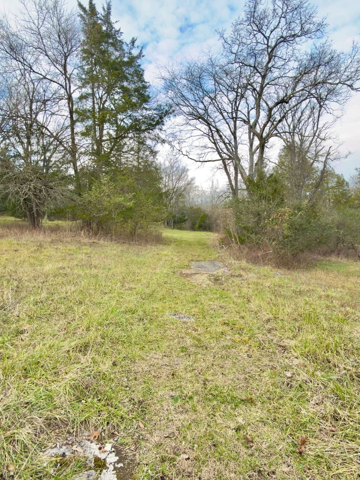 Mowed walkway from barn area back to home.