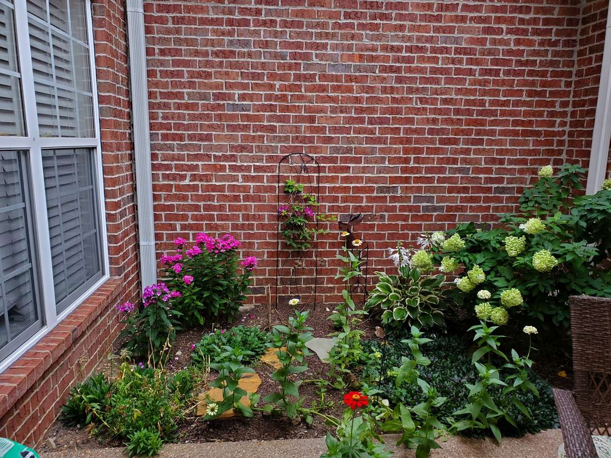 Garden area popping this spring, will soon be full of bright and beautiful plants