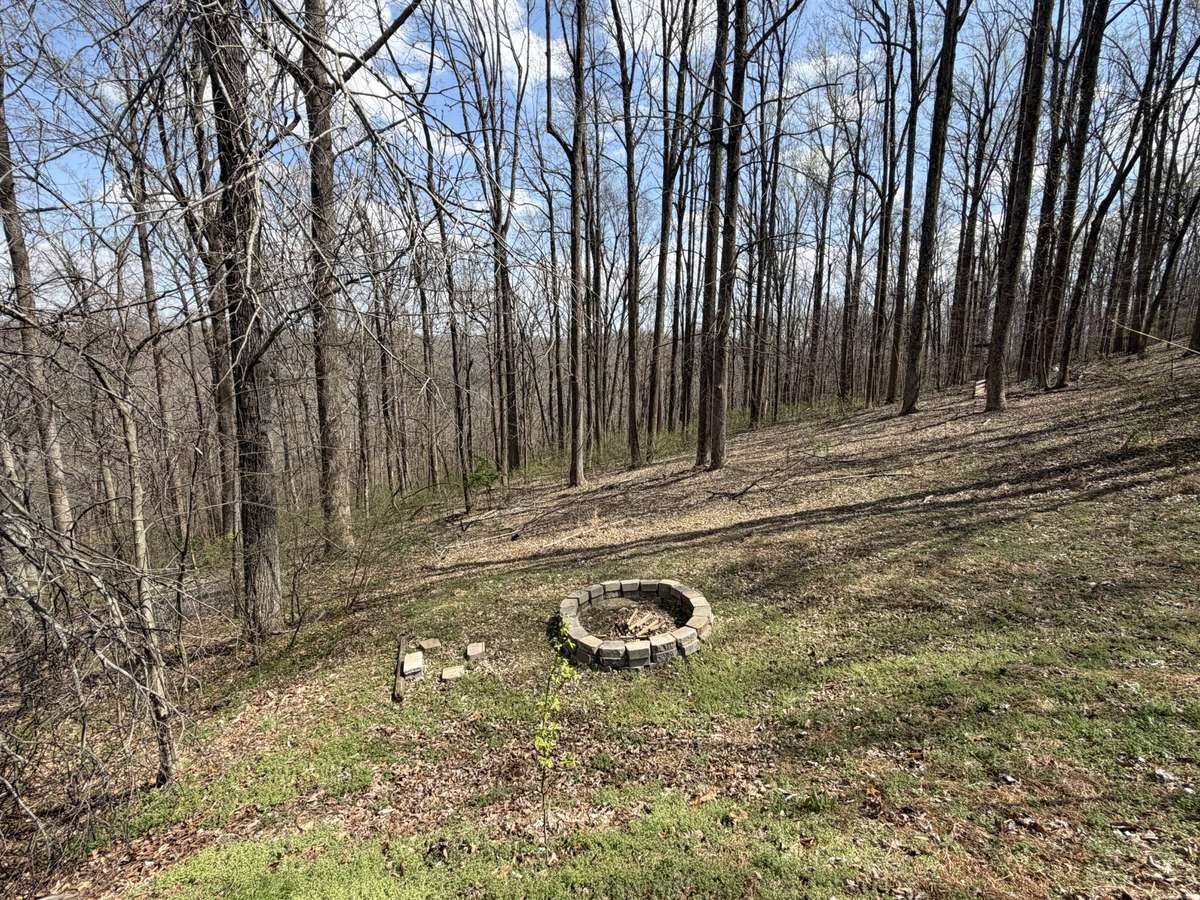 Back Yard With Firepit