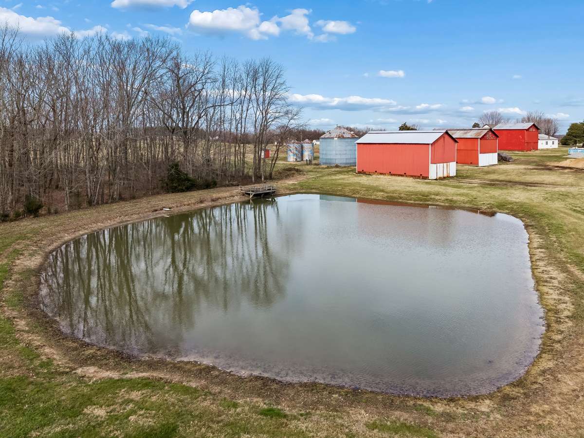 Pond