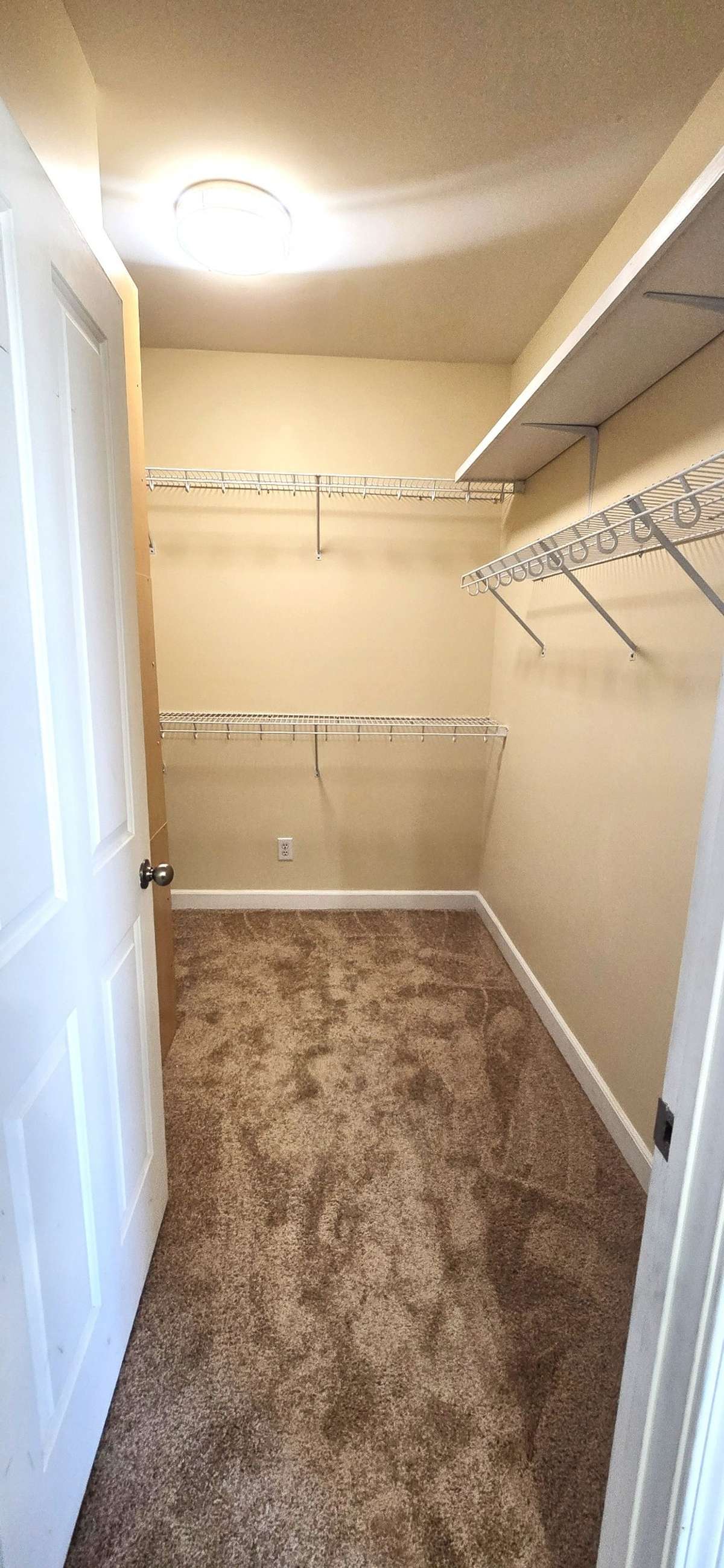 Main bdrm walking closet