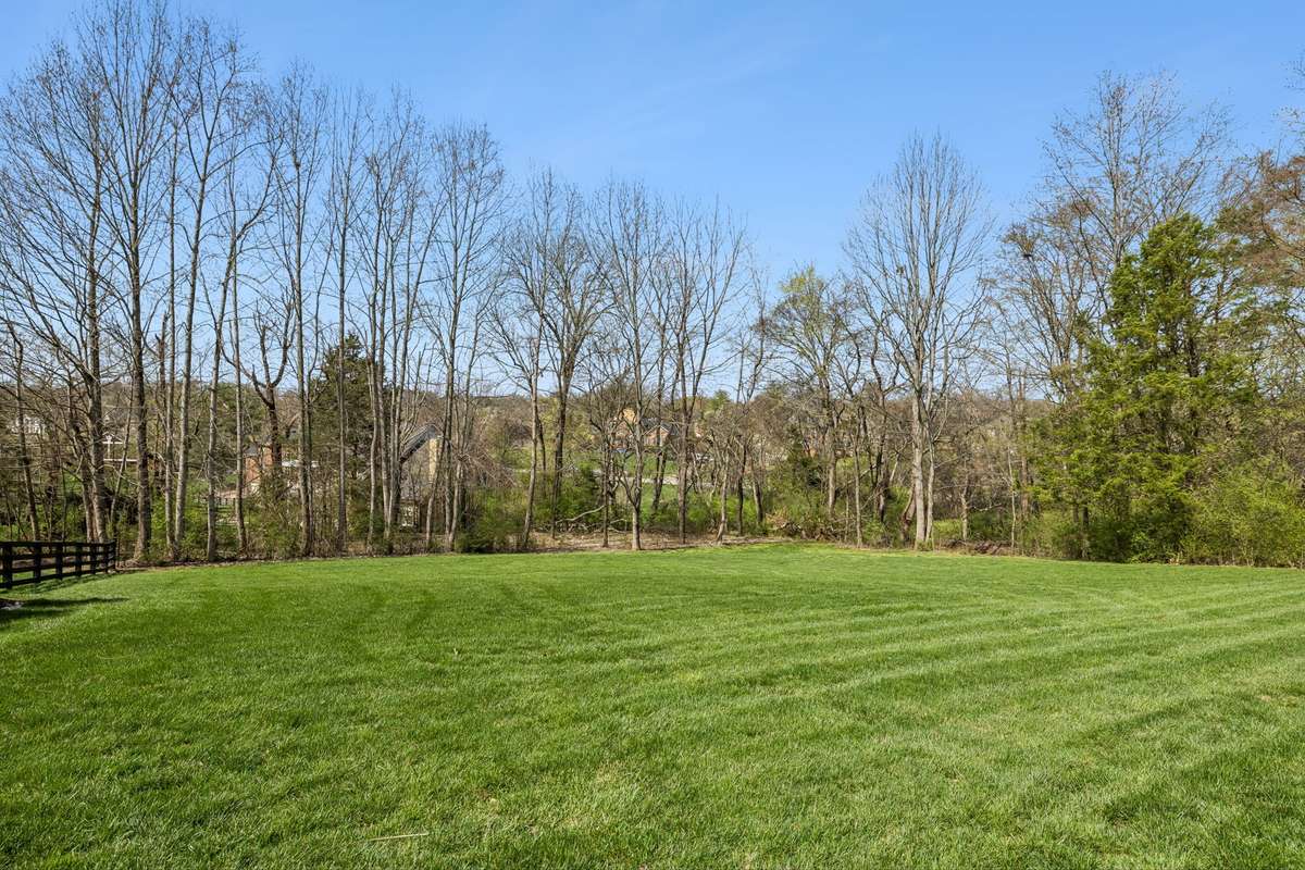 Lots of space in the back yard, and there's additional yard space on the right side of the home.
