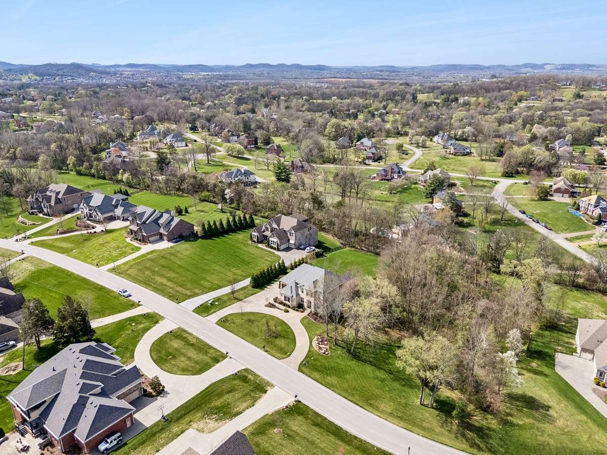 This overview shows the magnitude of the property with the added privacy of the HOA-owned land to the right.