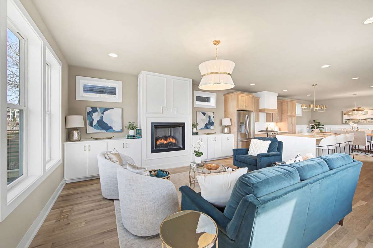 Gorgeous light filled Living Room