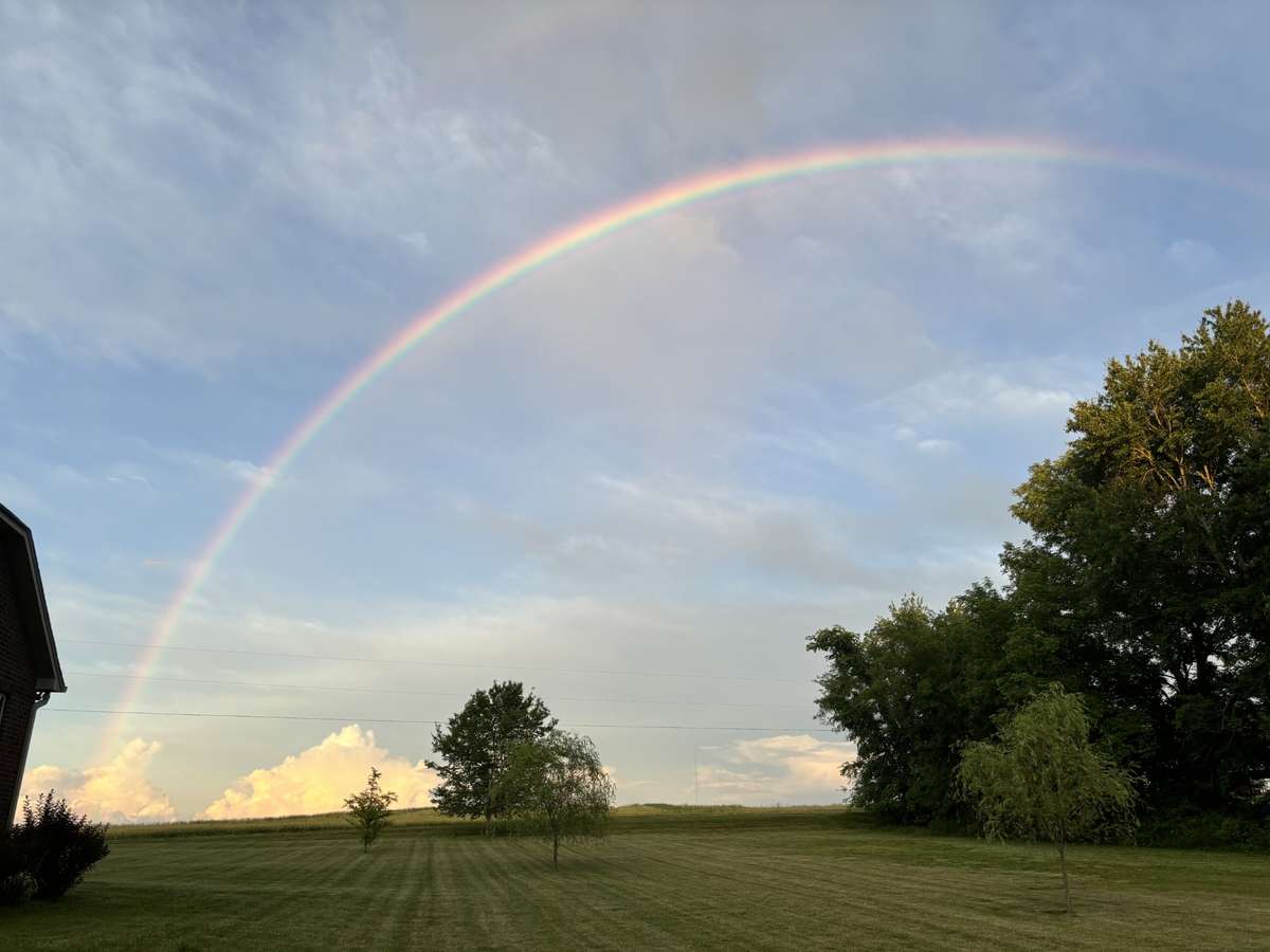 At the end of this Rainbow, you will find 4314 Woodrow Wilson Rd